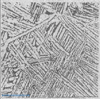 Ti-6Al-4V(5级)合金铸件，铸造条件，500X